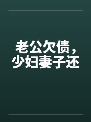 老公欠债，少妇妻子还笔趣阁无弹窗
