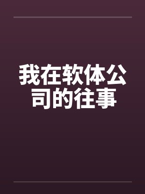 我在软体公司的往事