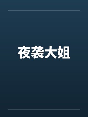 夜袭大姐笔趣阁无弹窗