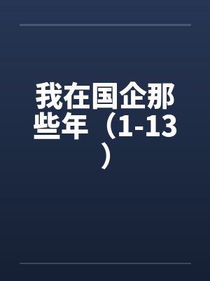 我在国企那些年（1-13）