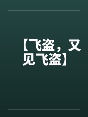 【飞盗，又见飞盗】